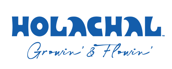 Holachal